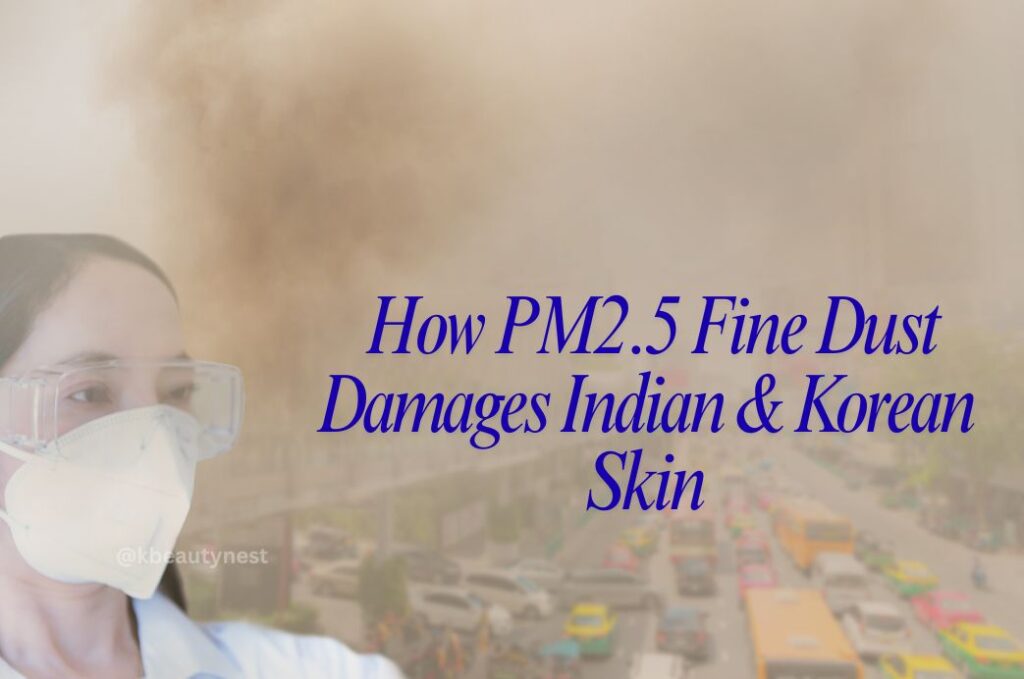 How PM2.5 Fine Dust Damages Indian & Korean Skin
