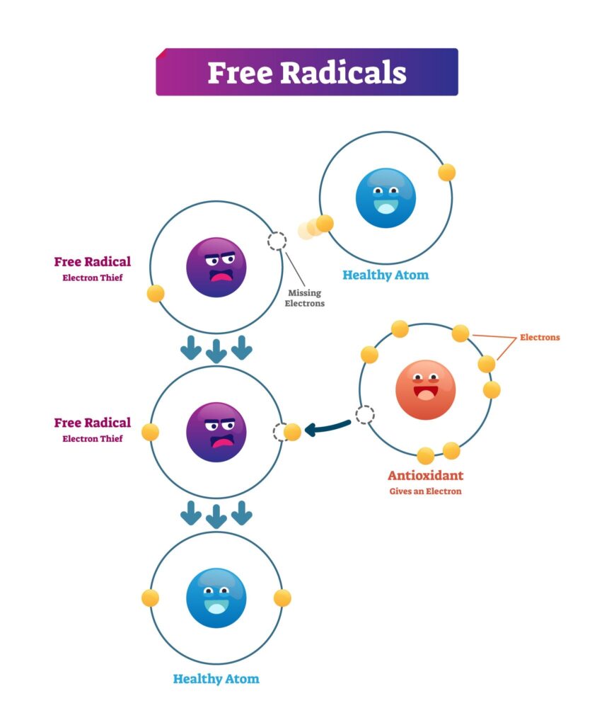 Free Radicals explanation infographic