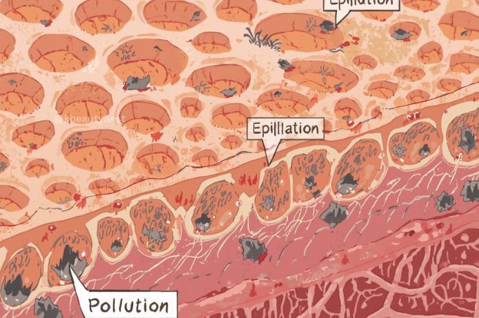 Diagram illustrating how pollution particles get trapped in pores, necessitating a pollution detox for skin.